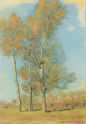 Landscape near Madrid